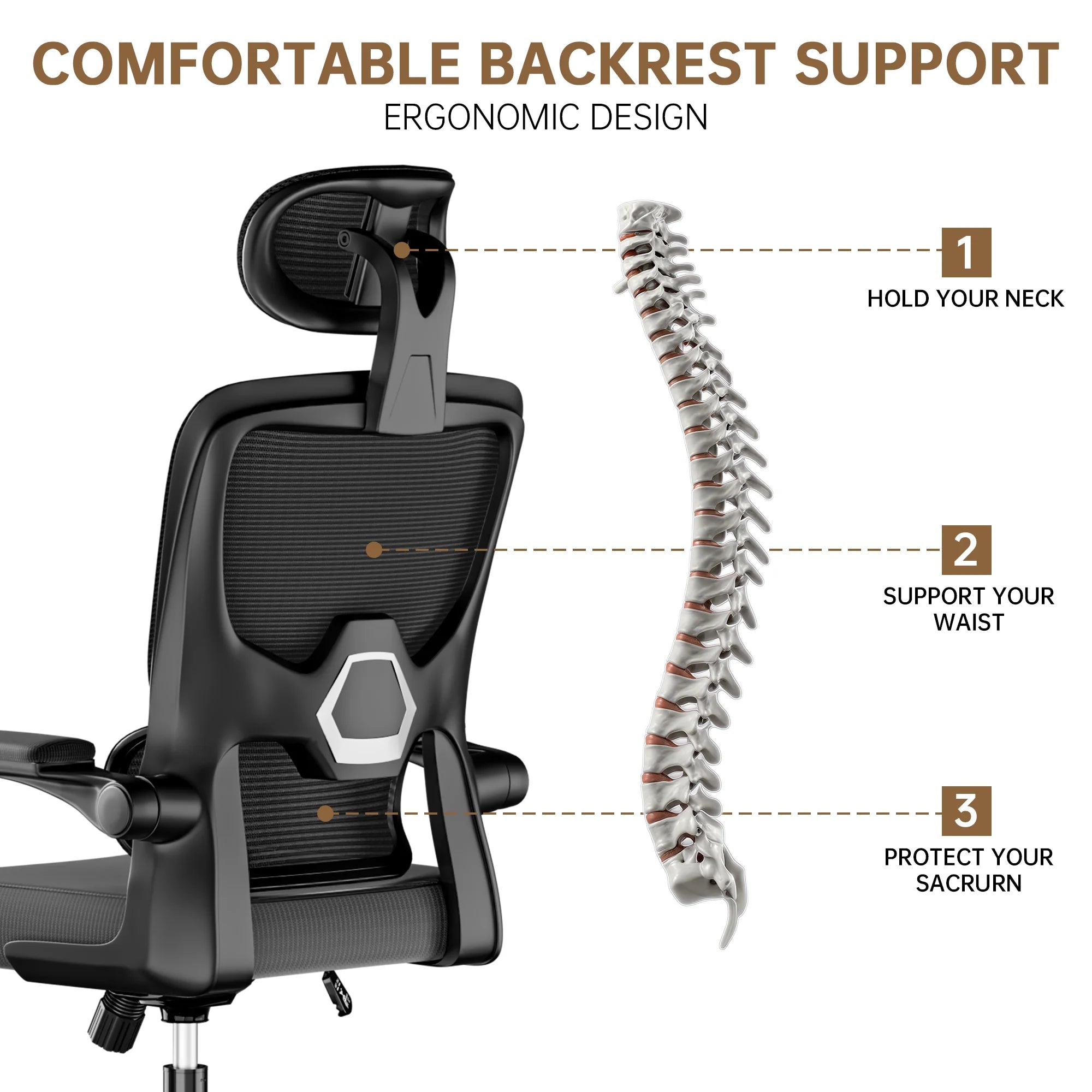 Ergonomic Office Chair
